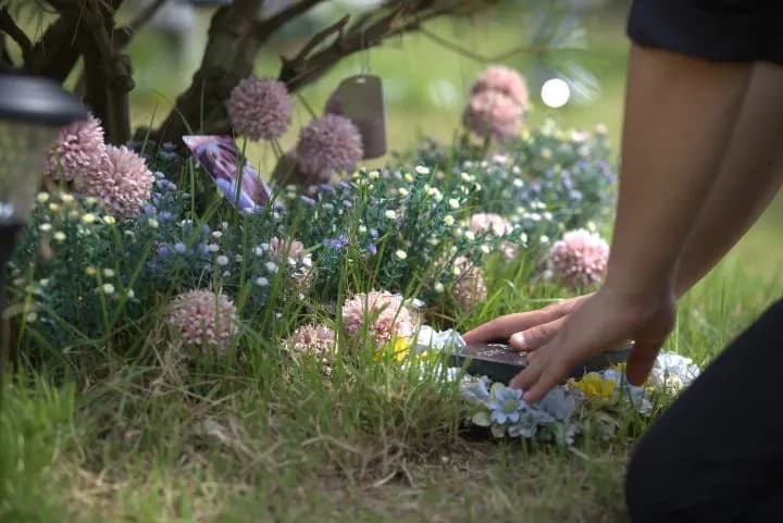 강아지 수목장 치르는 이미지