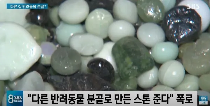 무허가, 불법 장레업체 스톤 유골 바꿔치기 뉴스장면