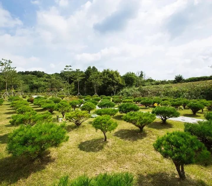수목장 이미지