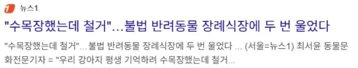 불법 장례식장 관련 뉴스