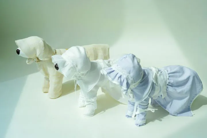 반려동물 수의 이미지