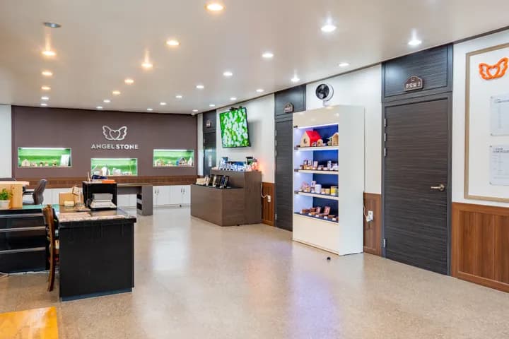 반려동물 장례식장 이미지