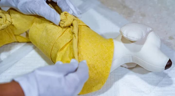 동물 장례 비용 체중 기준