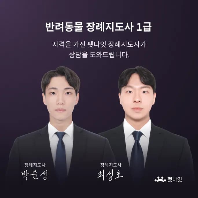 안산 강아지 화장 정보 안내