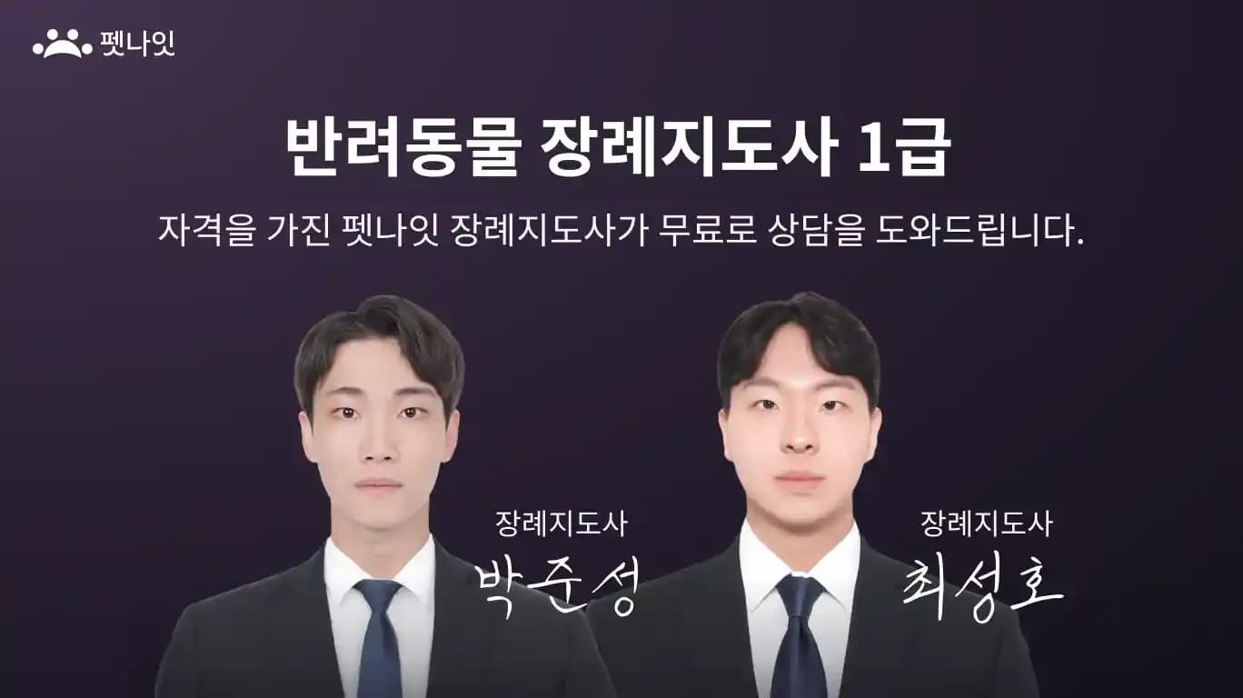 안양 강아지 장례 전문 지도사 자격증