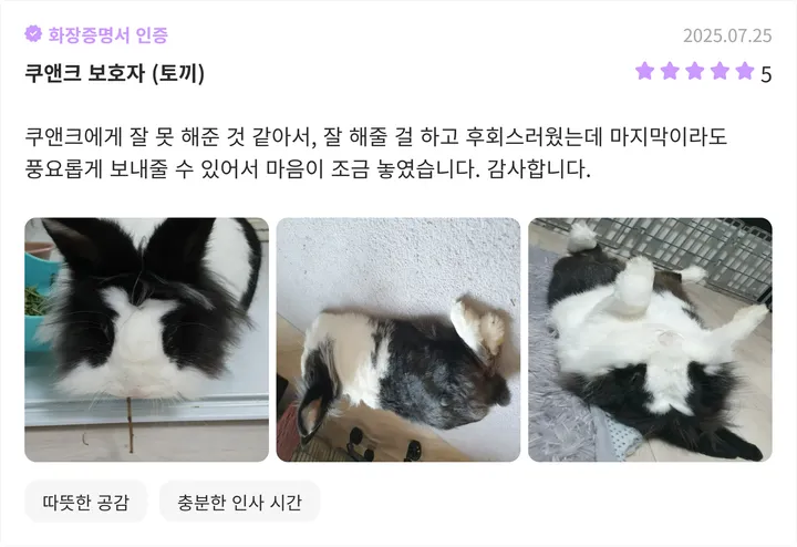 안양 강아지 장례업체 이용 후기