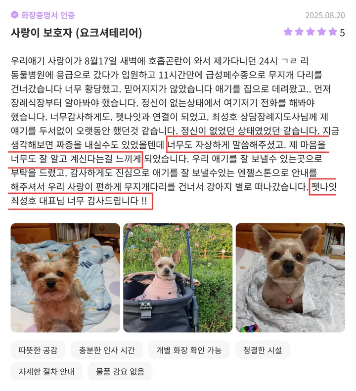 부천강아지화장 만족도 통계