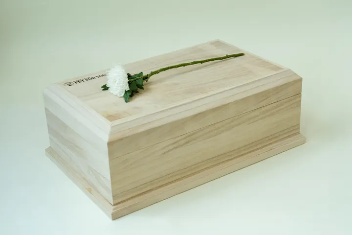 부천강아지장례 선택 용품