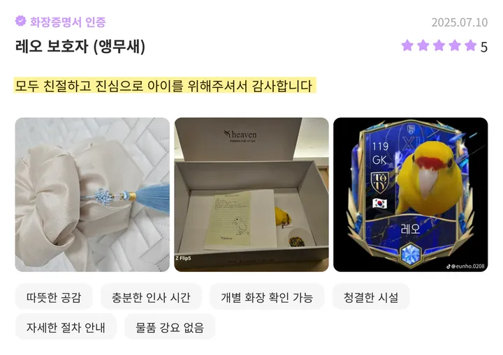 부산고양이장례식 합법 업체 검색