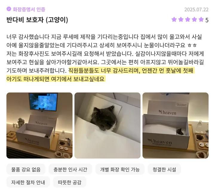 불법 부산고양이장례식 실태