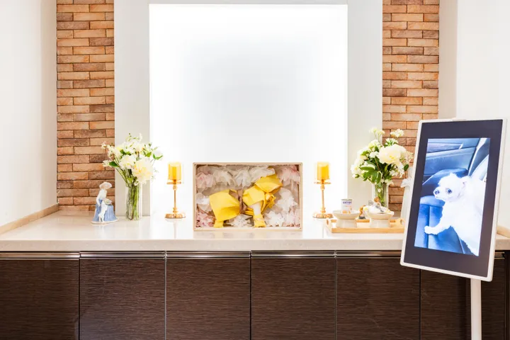 김해 고양이 장례식장 비용 부담을 낮춘 인근 시설 전경