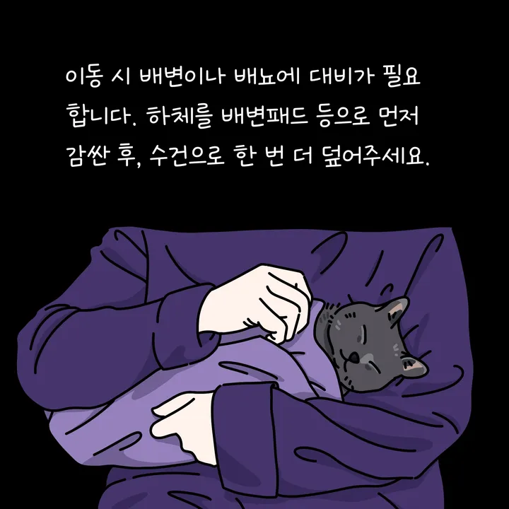 반려동물을 정성스럽게 덮어주는 모습