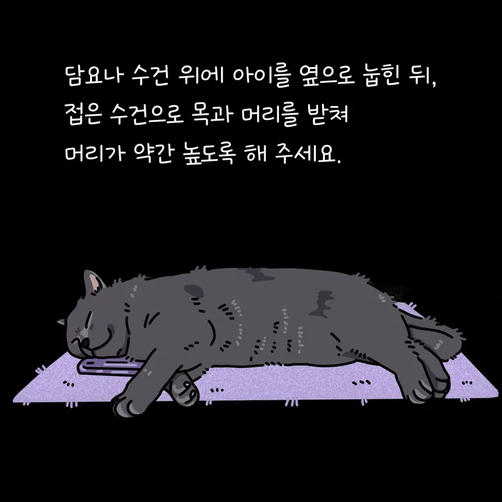 고양이를 담요 위에 눕히는 모습