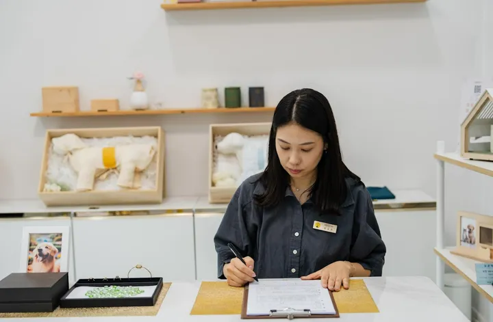 고양이 화장비 이미지 5
