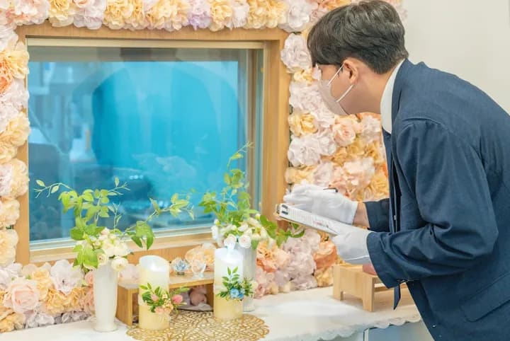 고양이 화장비 이미지 6