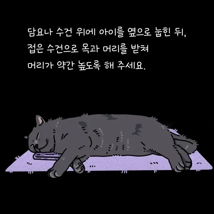 고양이 사후 수습 눕히기