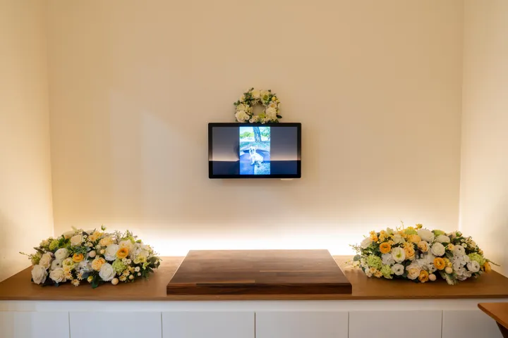 고양이 장례 절차 개별 화장