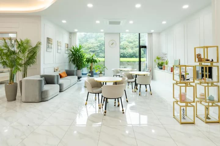 고양이 스트레스 죽음 후 장례식장 이미지