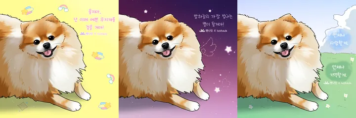 펫나잇 예약 혜택 안내