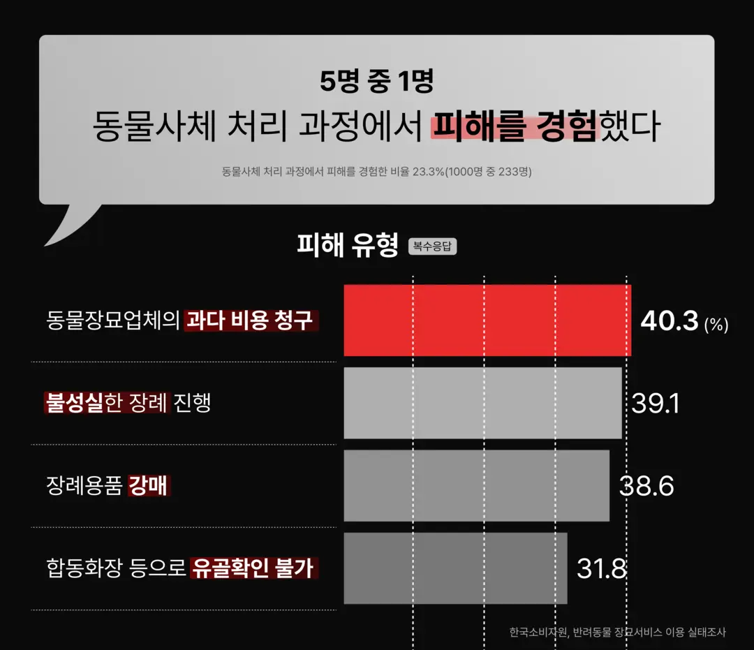 부산 반려동물 장례식장 불법