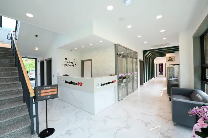 대구 강아지 화장터 최신식 시설