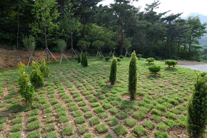 대구 강아지 화장터 봉안당