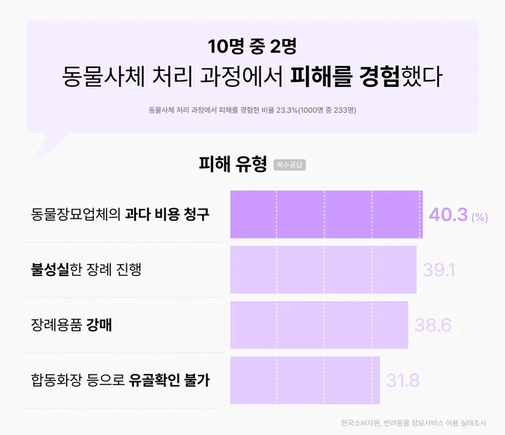 대구 강아지 화장터 과태료 피해 사례