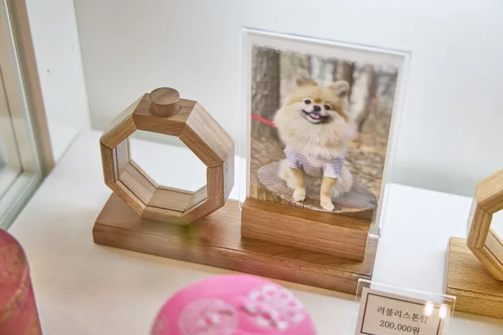 대전 고양이 장례 장례용품 선택 이미지