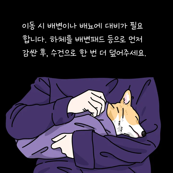 강아지 장례식장 이동 전 아이를 조심히 안는 모습