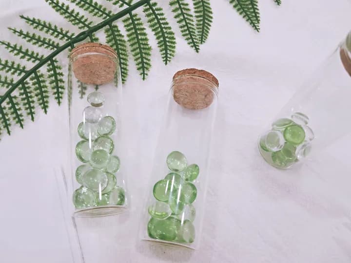 강아지 유골 뿌리기 외 강아지 루세떼 이미지