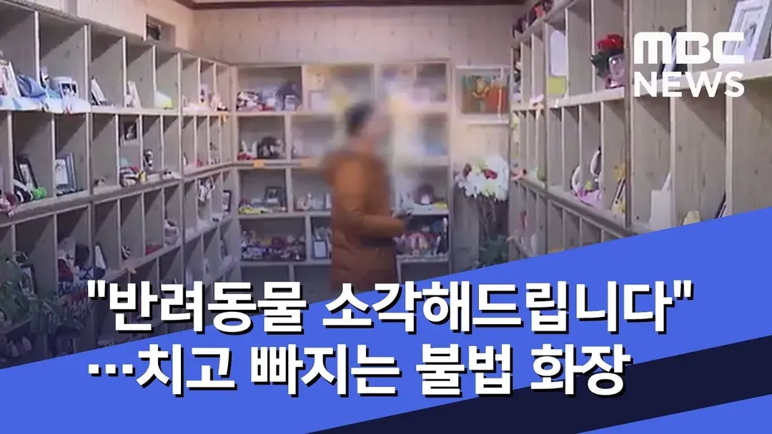 개 화장터 무허가 업체 실태