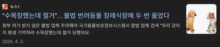 강아지 화장터 무허가 리스크 뉴스 이미지