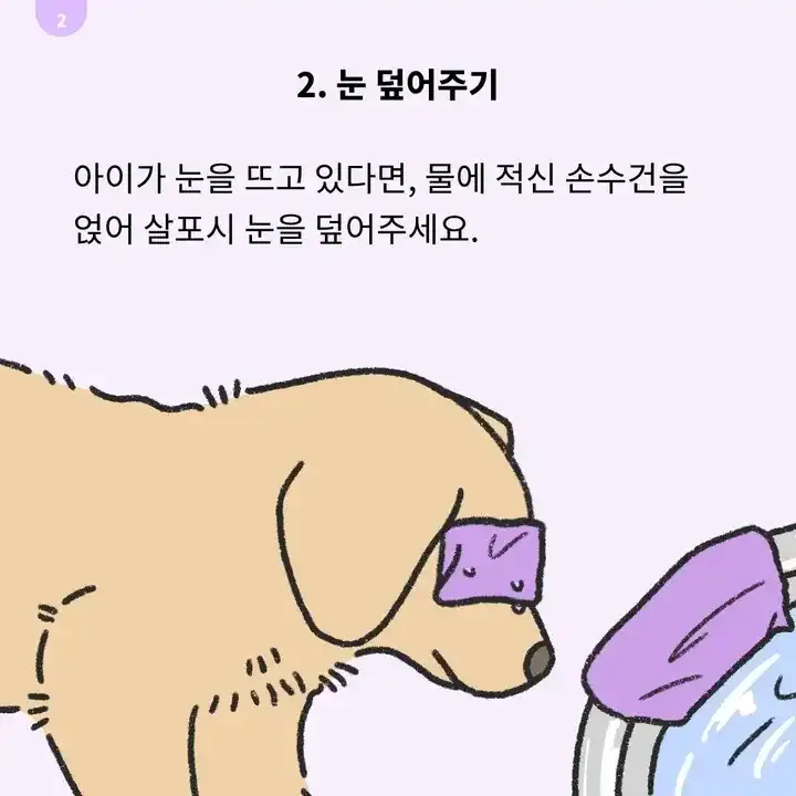강아지 죽을 떄 눈 감기지 않는 모습