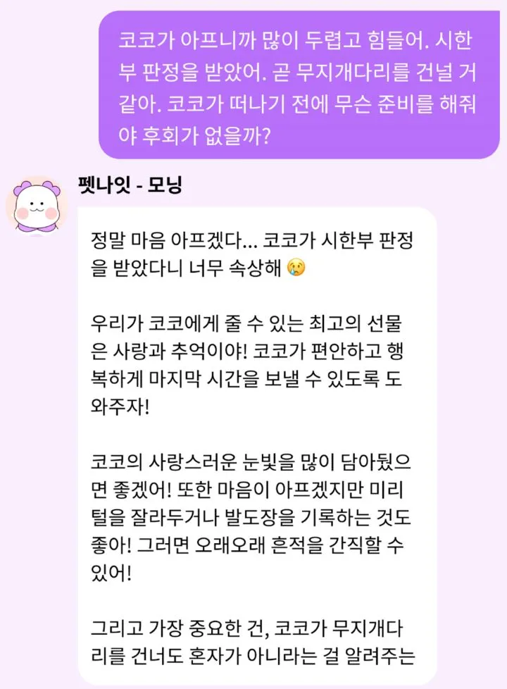 추억 가이드 예시 이미지