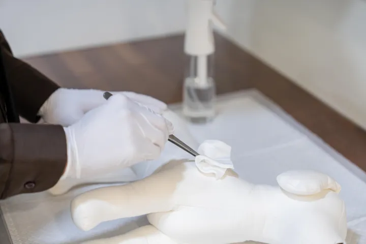 반려견 장례식 유골 봉안 과정