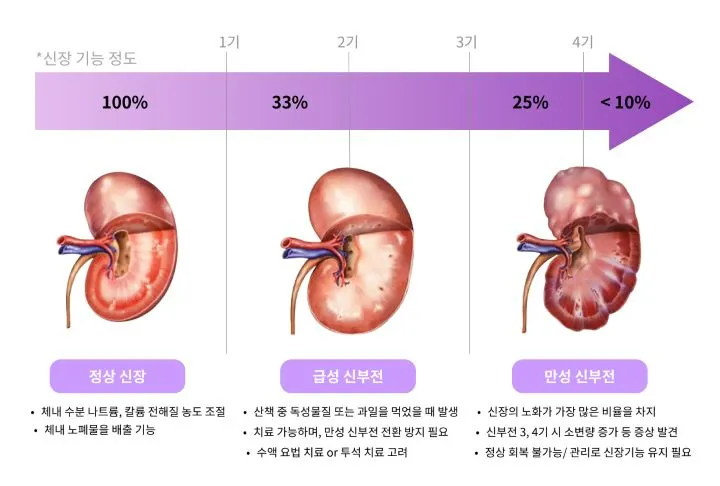 강아지 신부전증 고구마 급여 전 확인할 식단 기준