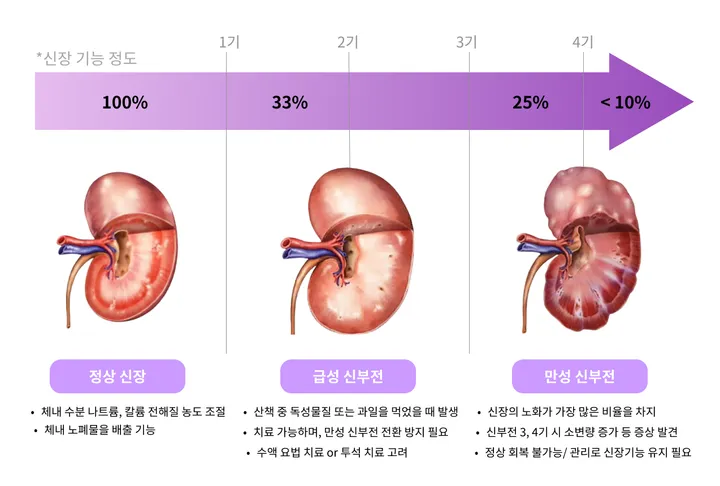 강아지 신부전증 단계