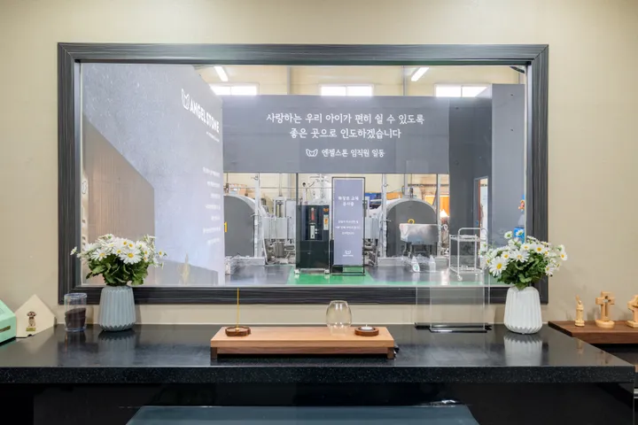김포 고양이 화장 참관