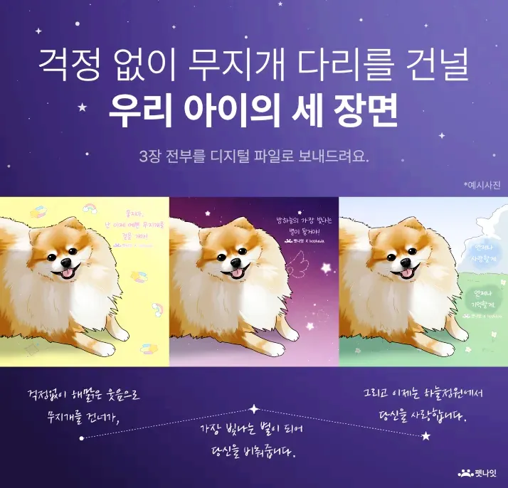 펫나잇 펫로스 상담 및 일러스트 서비스
