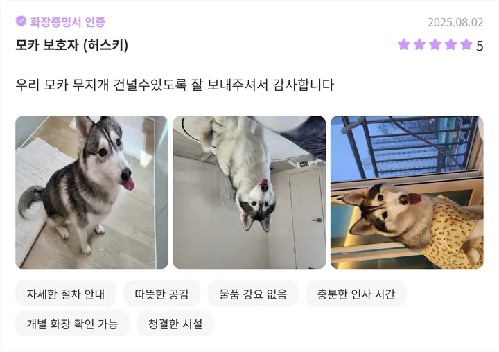 김포 애견 장례식장 후기 이미지