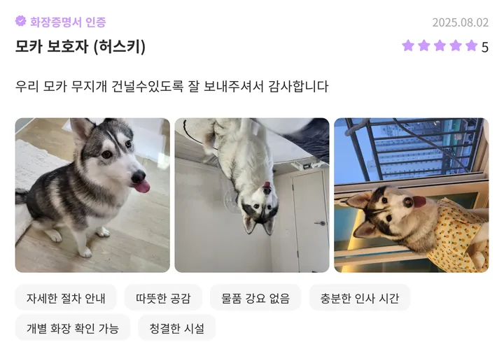 김포 반려동물 장례 후기 이미지