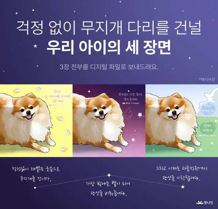 구미강아지장례식장 부가 혜택 소개