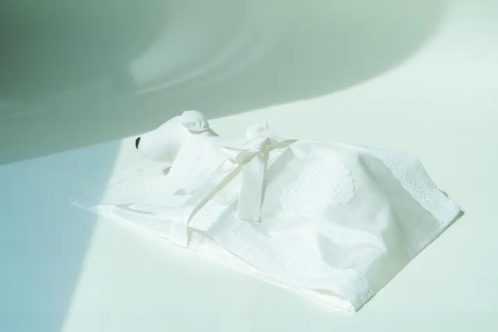 구미강아지장례식장 선택 용품