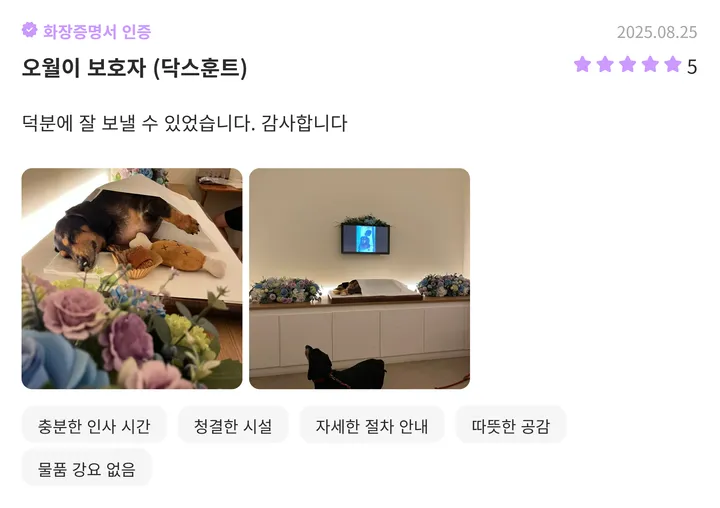 경기도반려동물장례식장 파주 이용 보호자 후기 2