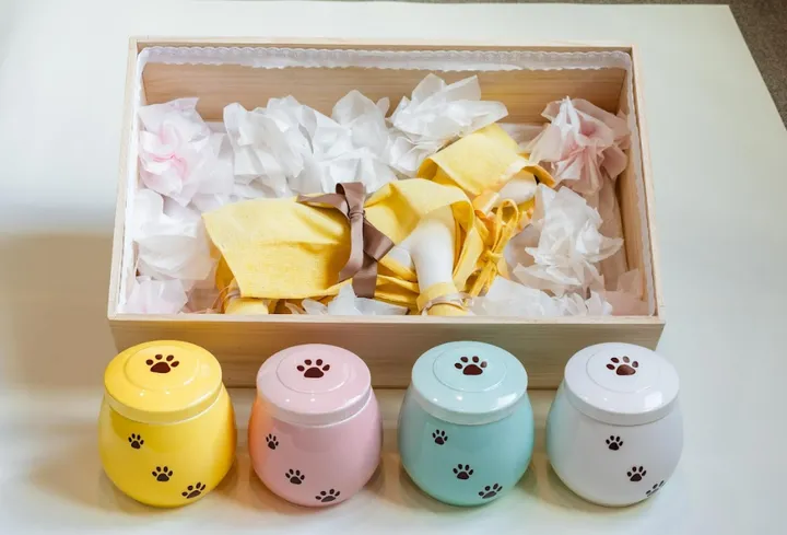 햄스터 장례 비용