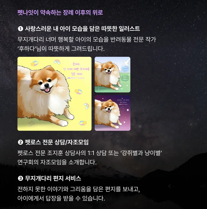 펫나잇 반려견 추모 서비스