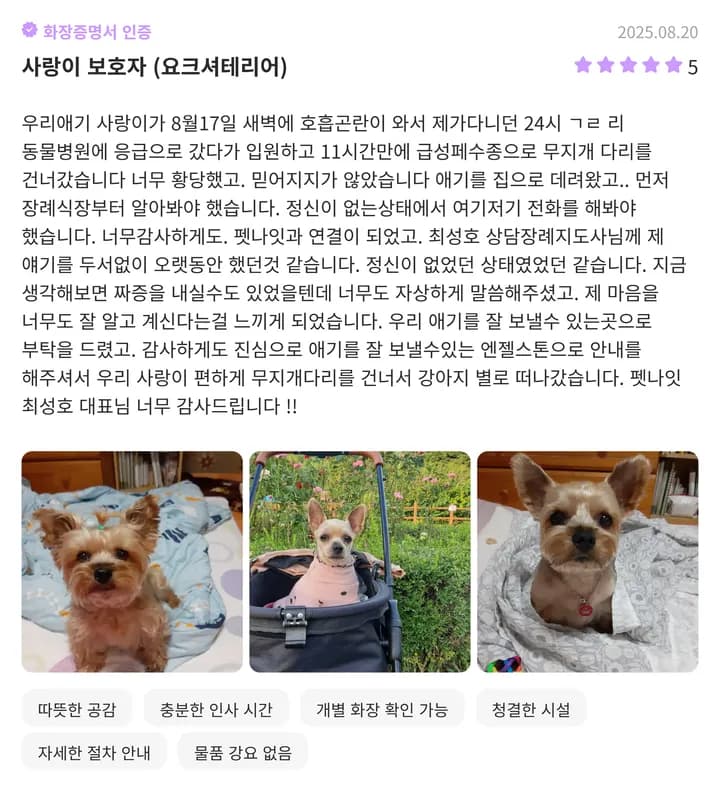 일산강아지화장터 김포 이용 보호자 후기 1
