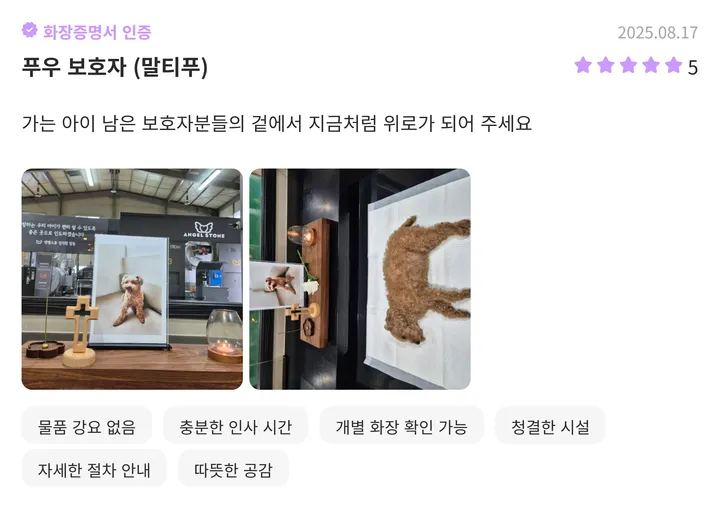 일산강아지화장터 김포 이용 보호자 후기 2