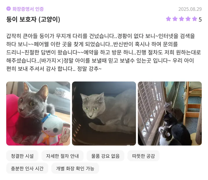 일산강아지화장터 파주 이용 보호자 후기 1
