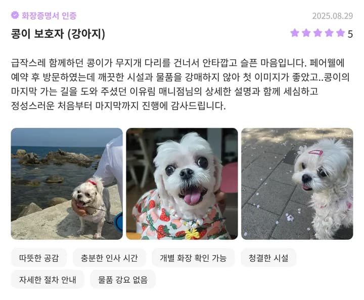 일산강아지화장터 파주 이용 보호자 후기 2
